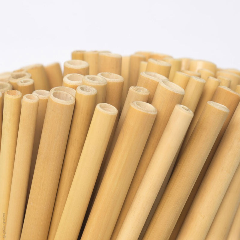 Goupillon de nettoyage des pailles en bambou 100% naturel